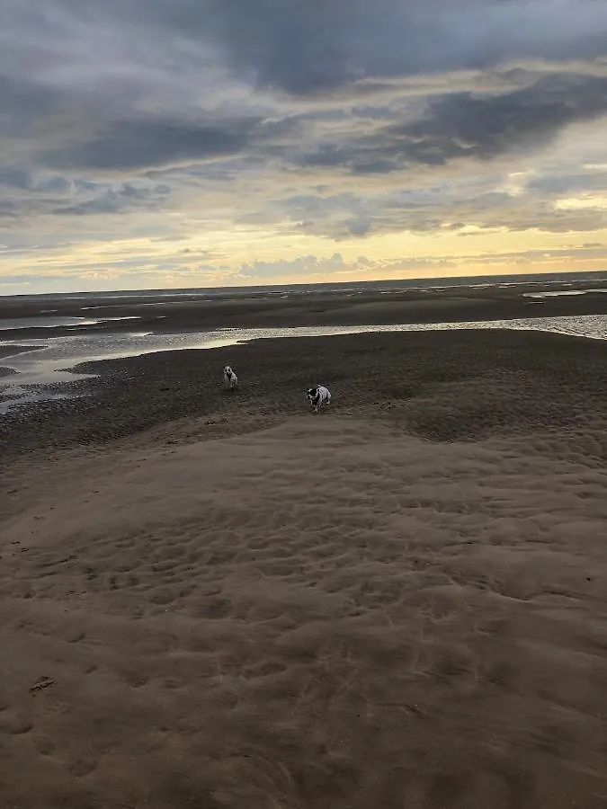 Town Center Willow Apartment - Sleeps Up To 10 - Dogs Welcome - 2 Minutes From Train Station Blackpool